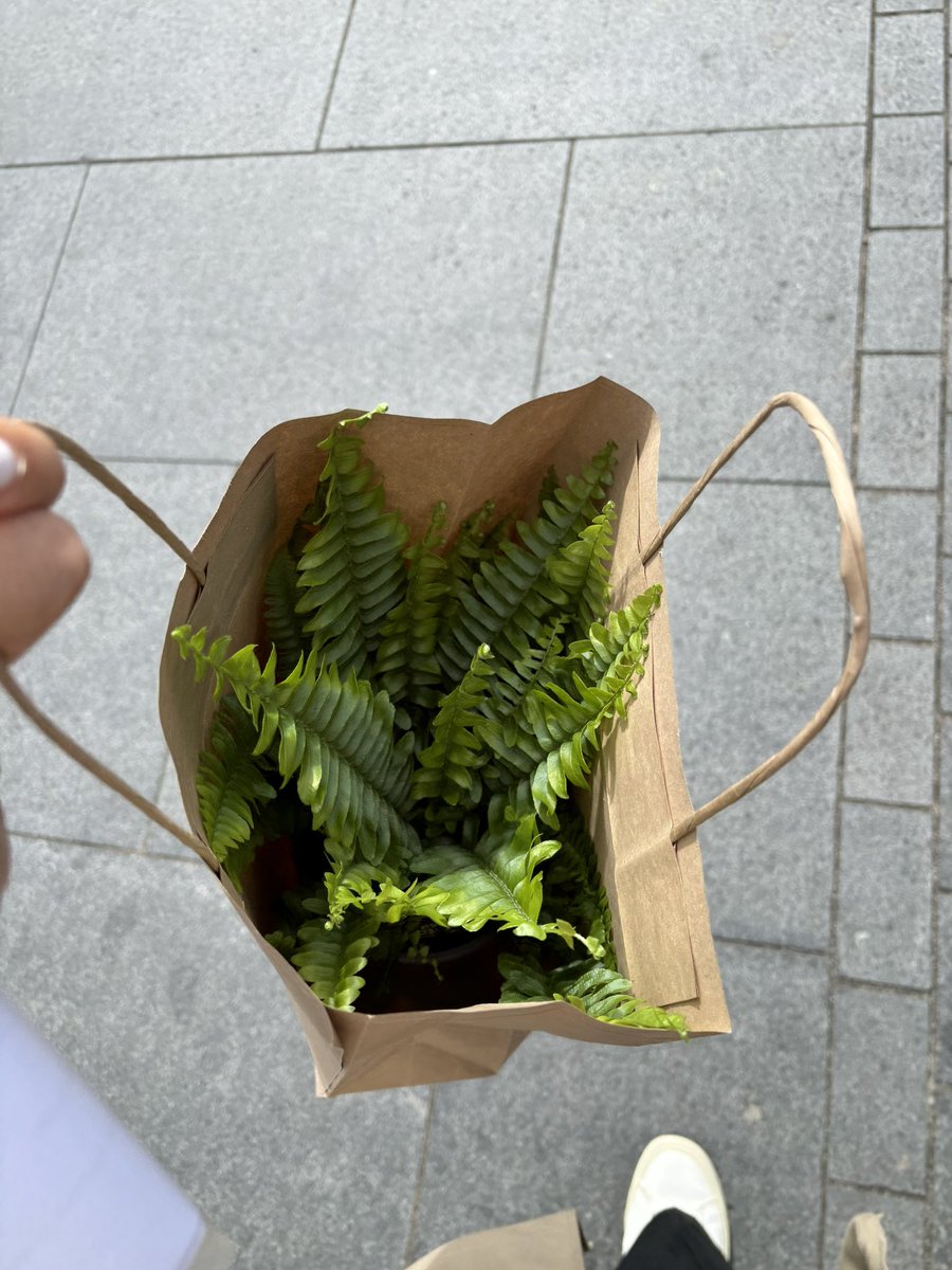 🌟 Amandeep Setra tweet media