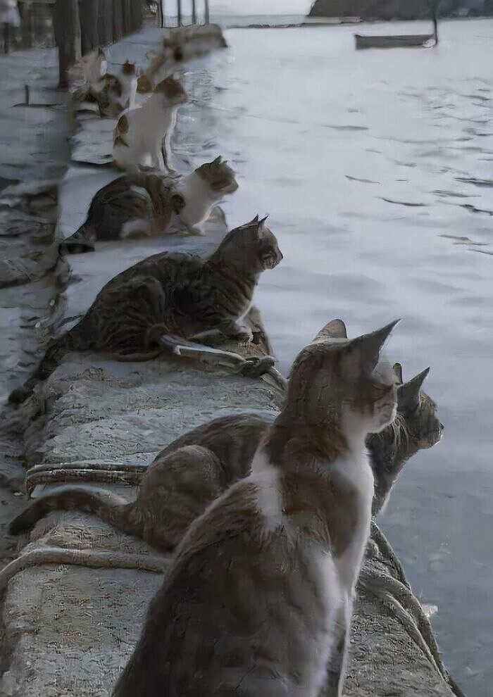 Aspettando il ritorno dei pescatori