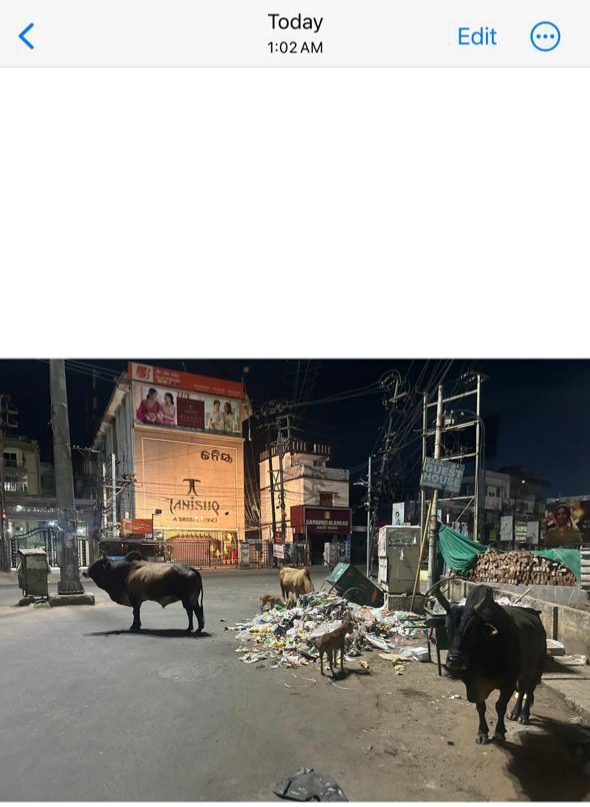 ANKIT BHAWSINKA tweet media