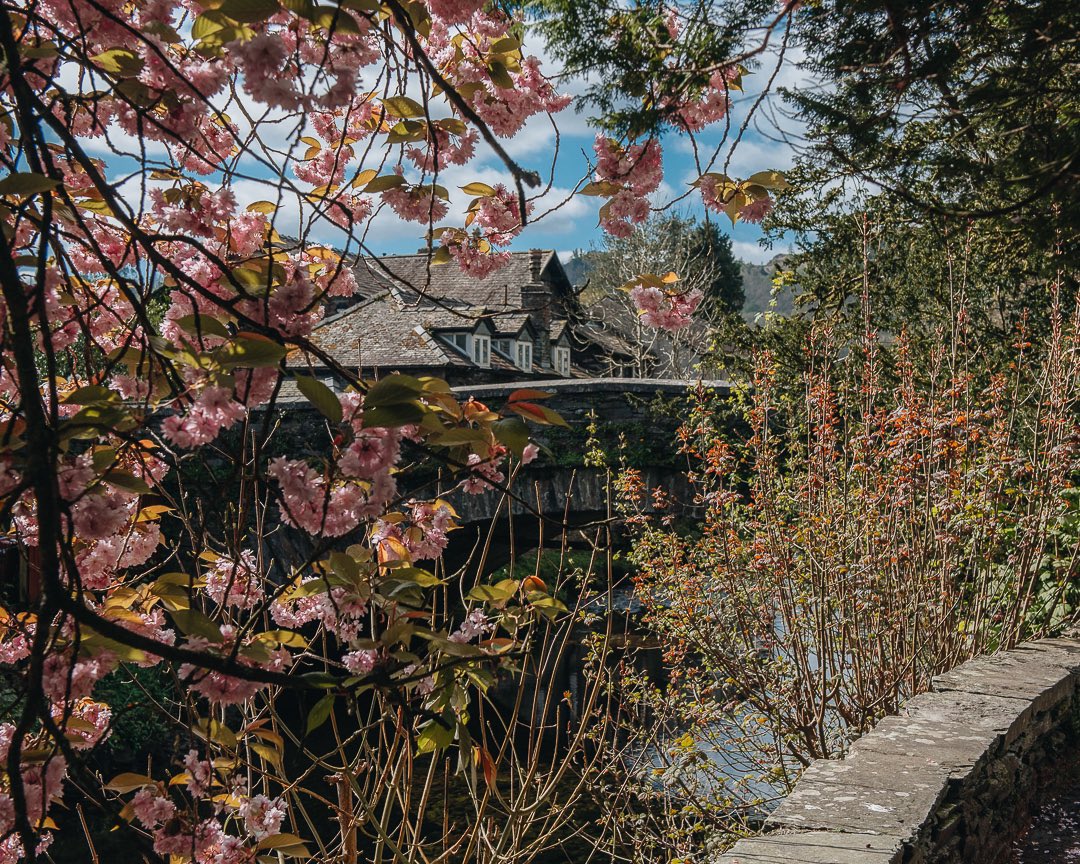 Grasmere in bloom is a lovely sight 😍🌸

#LakeDistrict #EnglishCountryside #VillageLife #BlossomWatch