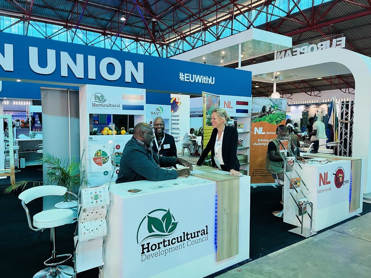 We are glad to be at #ZITF exhibiting alongside our partners @NtengweZimbabwe and @hdczim. Let’s connect at the #TeamEurope stand in Hall 4. 🤝 🇳🇱🇪🇺🇿🇼