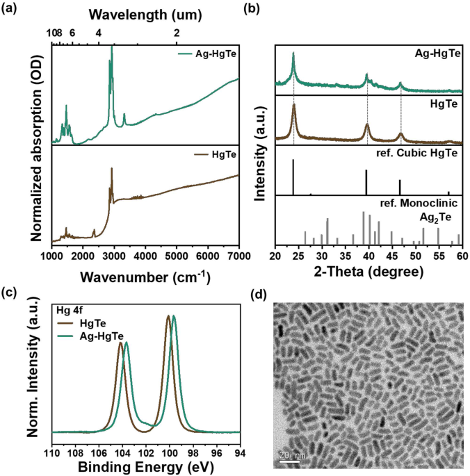 Narrow bandgap silver mercury telluride alloy semiconductor nanocrystal for self-powered midwavelength-infrared photodiode nature.com/articles/s4324…