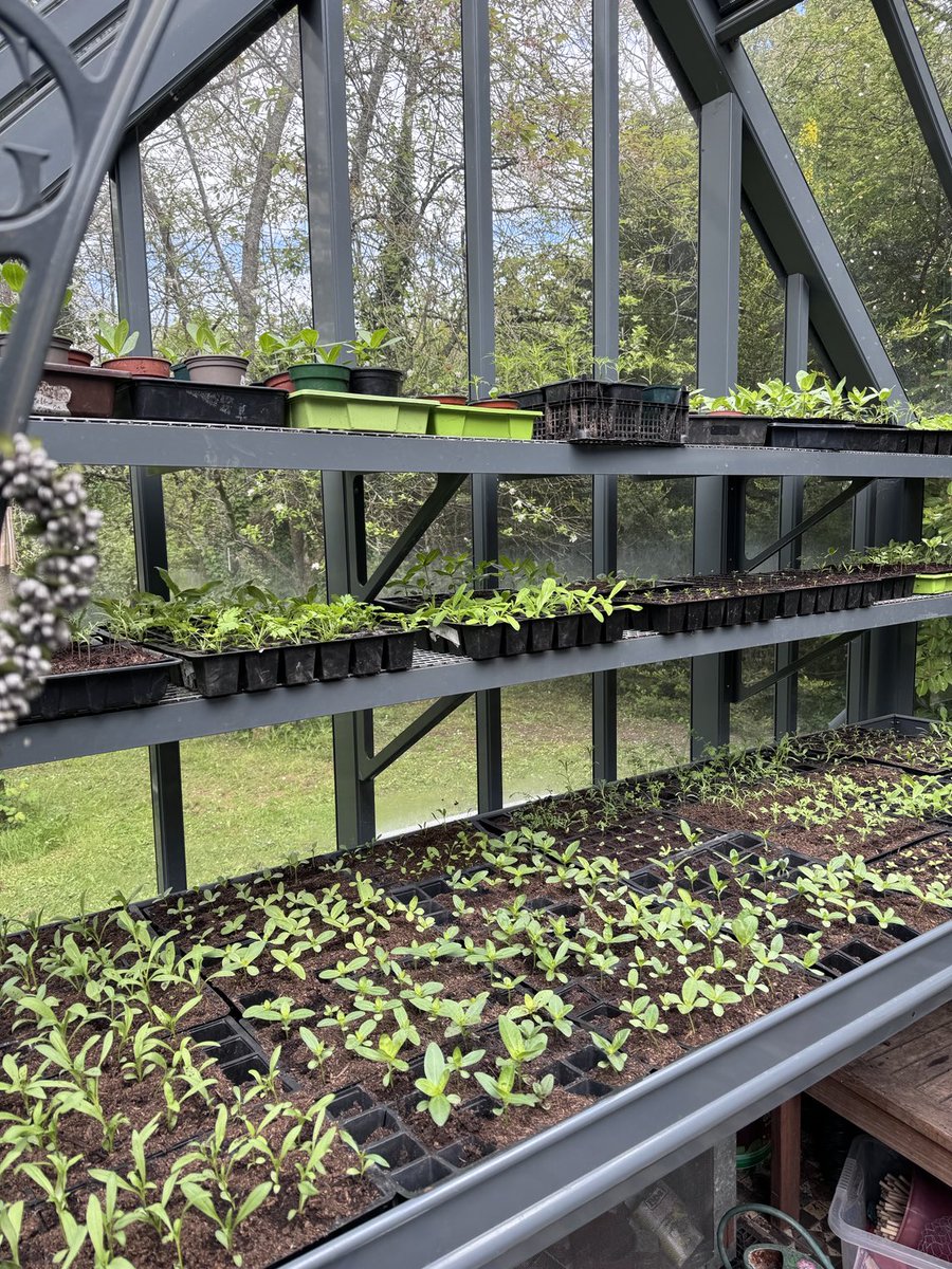 Garden Brocante tweet media