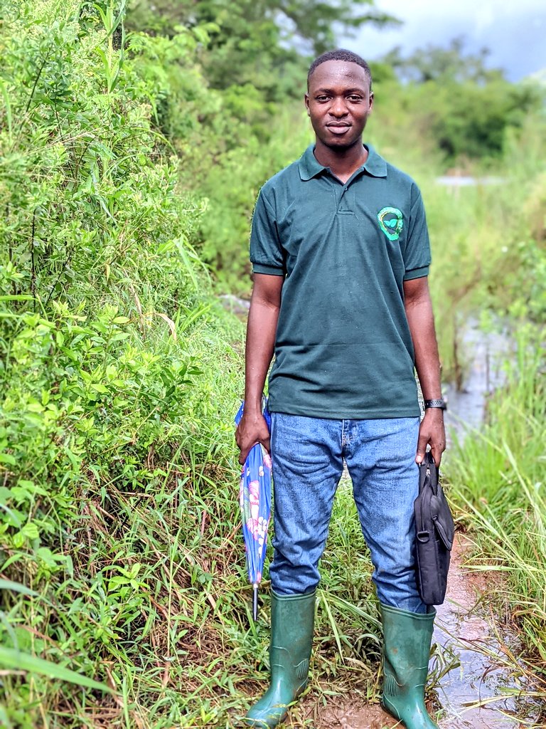 Who is passing passing through my field?. 
Ee....., Is wotaaaa or drip......

Aaa......, Ni mvua imeamua kunyesha.
#RainWaterHarvesting