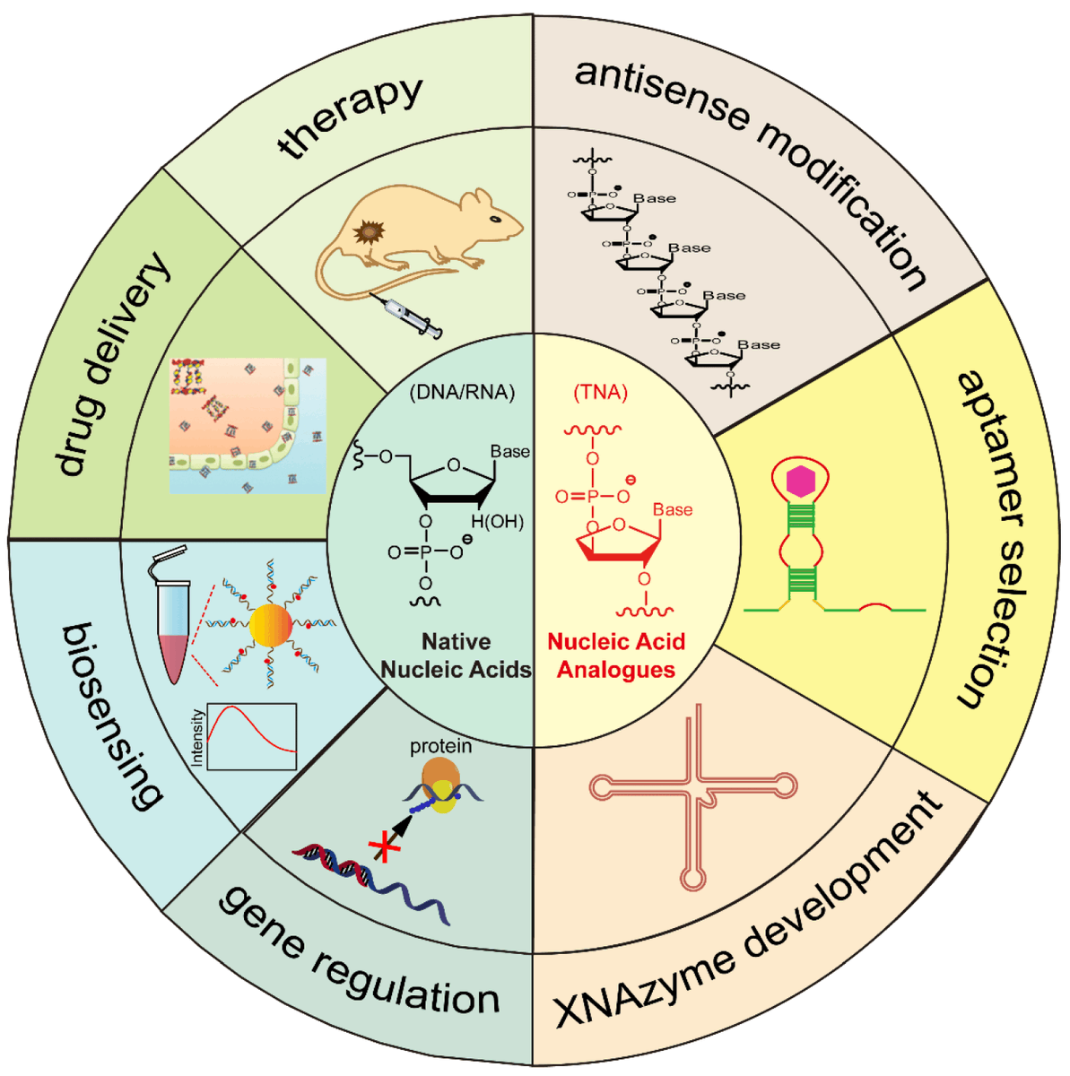Biosensors_MDPI's tweet image. #Review
Nucleic Acids and Their Analogues for Biomedical Applications by Fei Wang, et al.
doi.org/10.3390/bios12…

@MDPIOpenAccess @ChemMatSci_MDPI @CityUofHongKong
#nucleicacid #nanomaterials #DNAnanotechnology #biomedicalapplications #biosensing #drugdelivery #openaccess