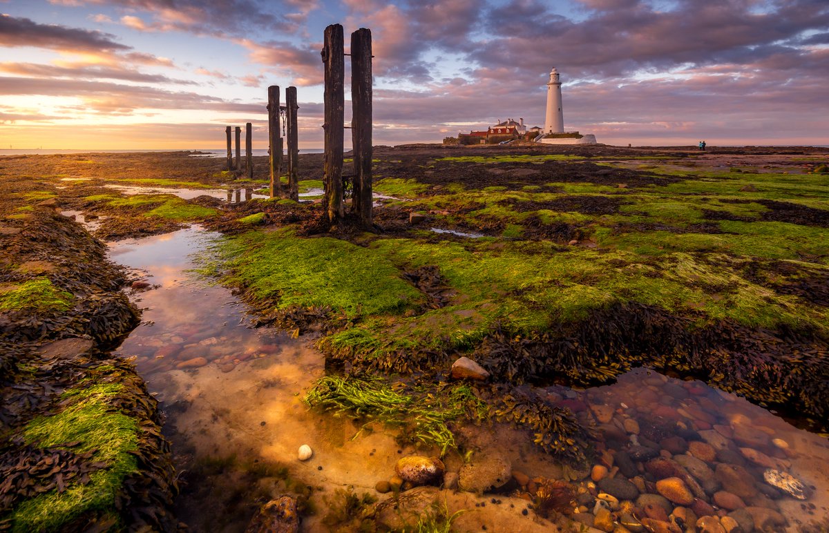 St. Marys Lighthouse.

@Pexels #WhitleyBay #Northumberland #Newcastle