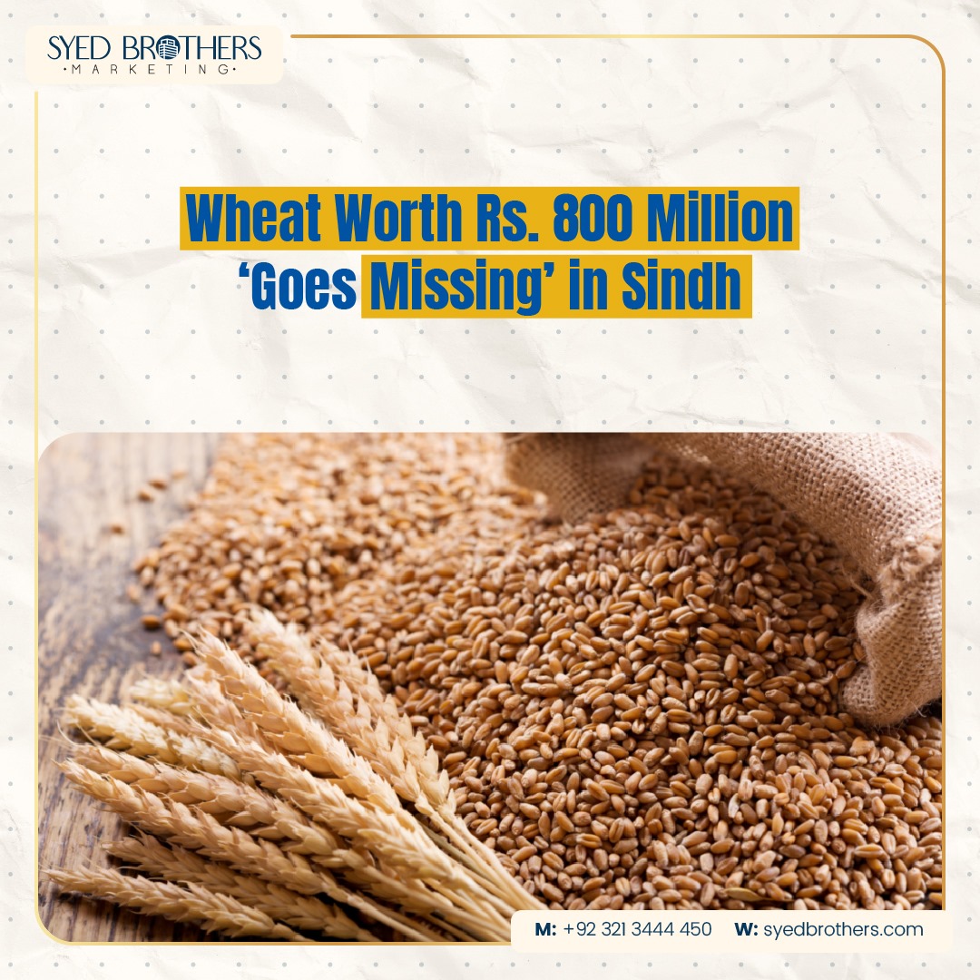 Wheat Worth Rs. 800 Million 'Goes Missing' in Sindh.
.
.
.
#syedbrothers #constructioncompany #homebuilding #architectureanddesign #homedecorideas #realestateinvesting #NewsUpdate