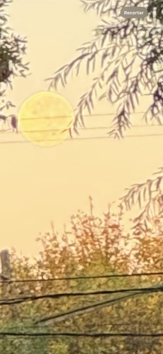 CarolinaChora's tweet photo. A ver qué dice la luna >>> zoom https://t.co/VOPh2Ljx0P