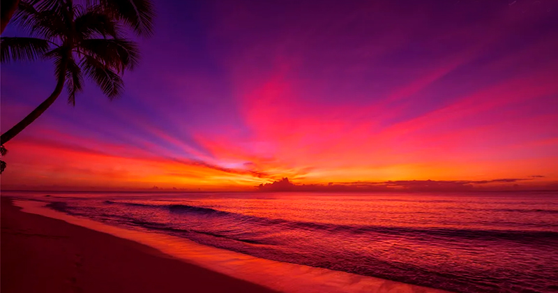 Pic of the Night…Something Special 💗💜💛🧡💗
best-online-travel-deals.com
#sunsetbeach #sunsetlover #sunset #sundowns