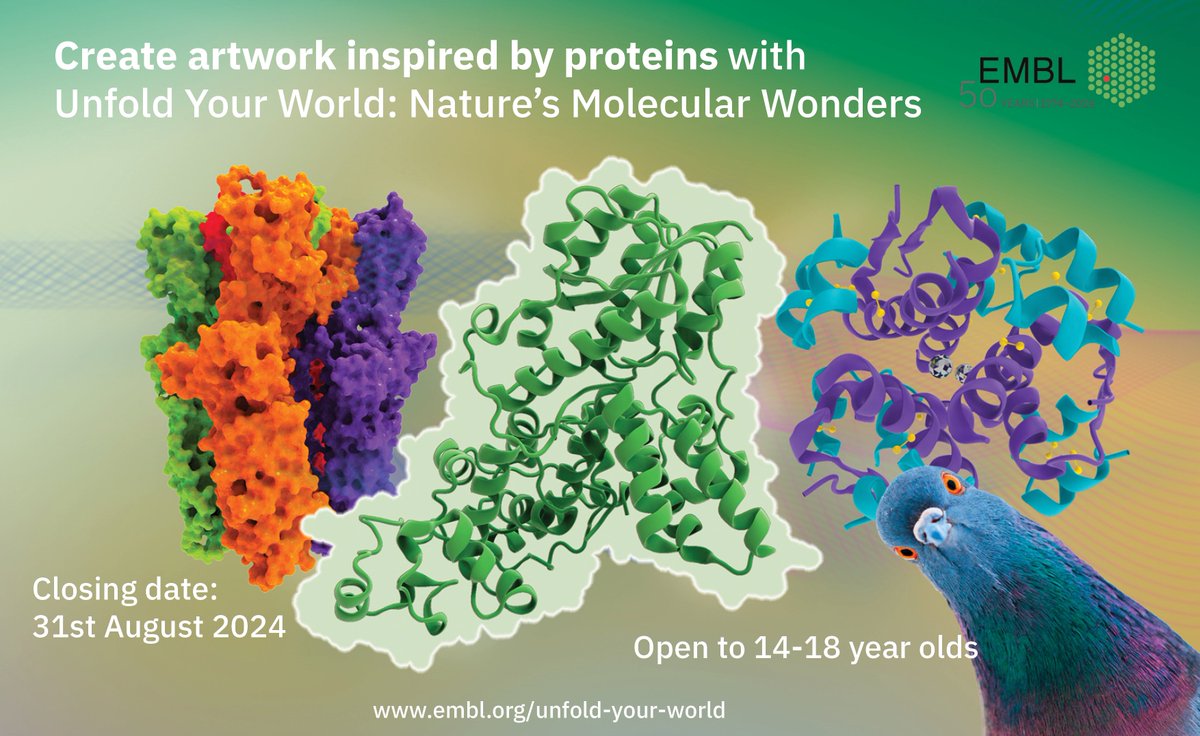 Discover the wonder of proteins with our new #proteinart project, Unfold Your World - an art &amp; science project for 14-18-year-olds across Europe &amp; UK. Win prizes worth €100 &amp; see your art displayed in a special exhibition. Find out more: embl.org/unfold-your-wo…
<a href="/embl/">EMBL</a> @pdbeurope