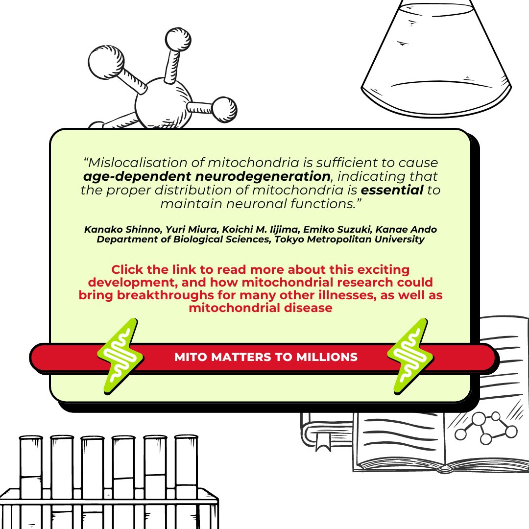 How could mitochondrial research lead to developments in age-related neurogenerative diseases, like Alzheimer's❓

Read through this week's Monday Mito Message to find out about a recent study marking advancements in this area 🔬

news-medical.net/news/20240422/…

#mitochondria