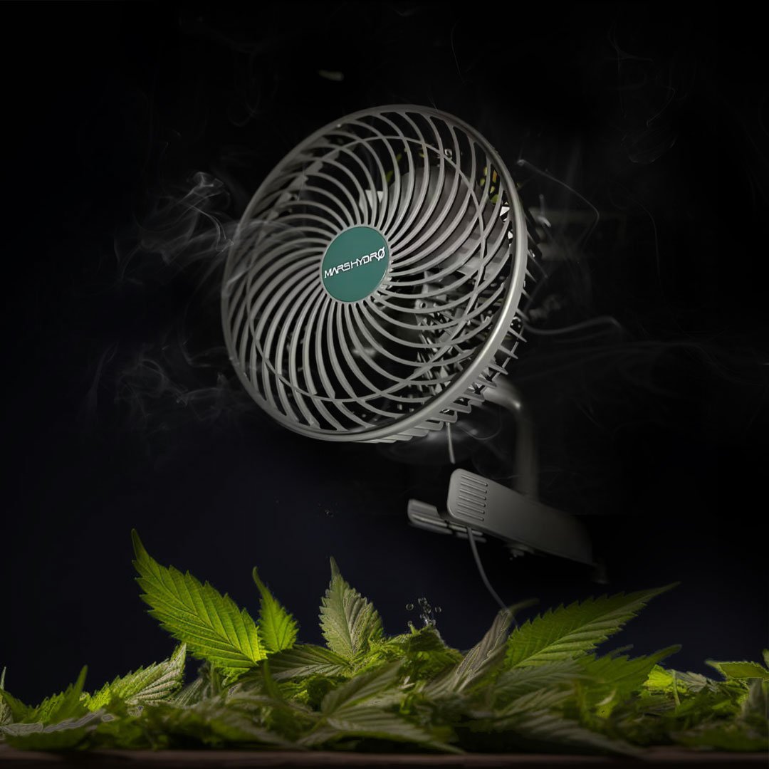 Who wants to have the Mars Hydro's latest 6-inch clip fan that keeps your grow tent cool and well-ventilated? 🌿🌀 Comment below if you'd love one. 👇 Get yours today and let your garden thrive ➡️ mars-hydro.com/grow-tent-clip… #MarsHydro #CoolingSolutions #clipfan #growtentfan