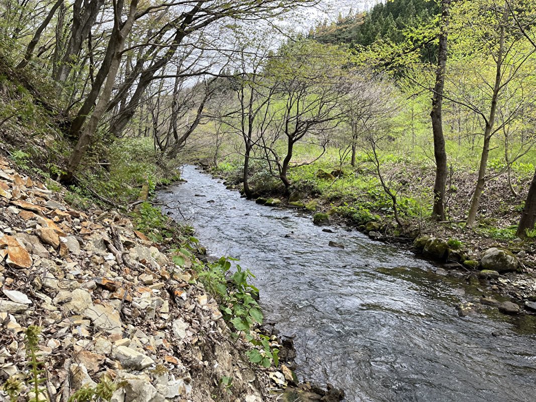 奥入瀬渓流

嘘です。

青森県新郷村の五戸川です。
#青森県
#新郷村