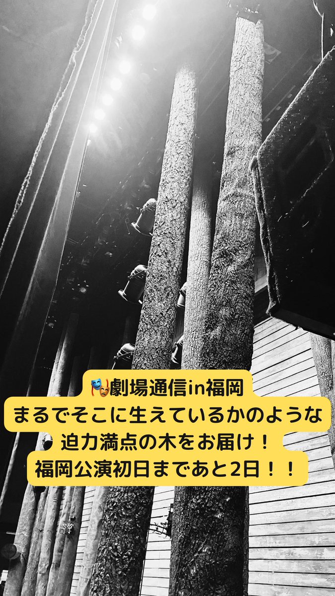🎭劇場通信in福岡 まるでそこに生えているかのような 迫力満点の木をお届け🌲 福岡公演初日まであと2日！！ #カムフロムアウェイ