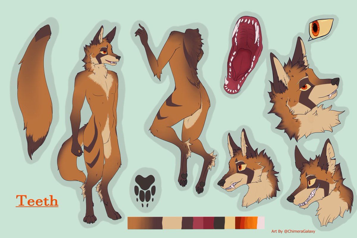 ChimeraGalaxy's tweet photo. #ref #refsheet #art #furry #furries #furryart #furryartist #characterdesign #mainedwolf #coyote #hybrid #fullcolor #teeth #maw #orange https://t.co/VWXpNU7r6d
