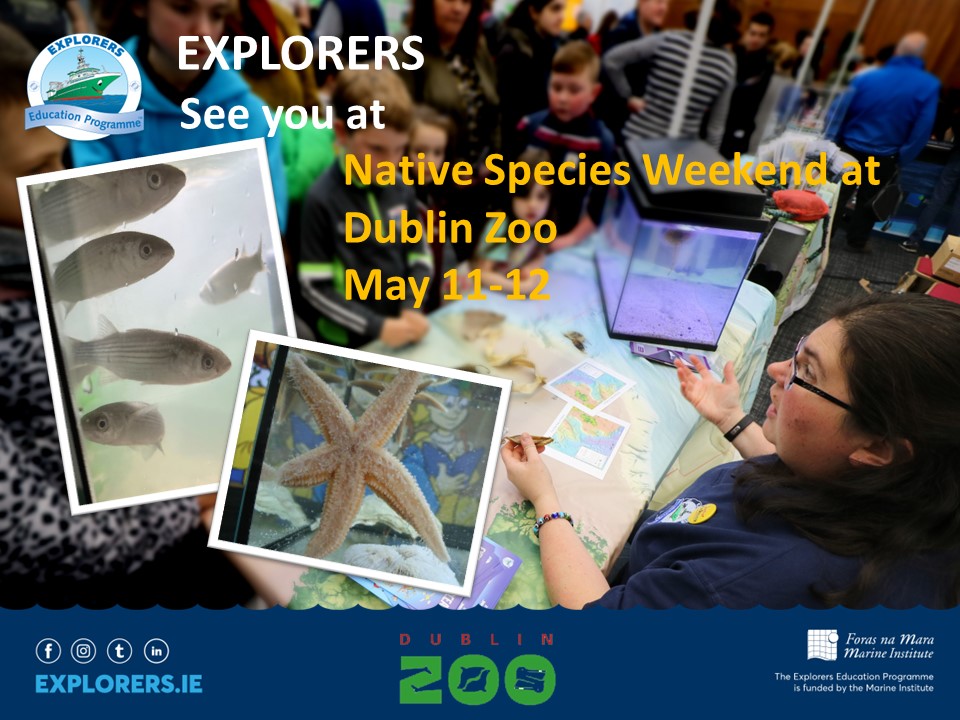 Native Species Weekend is Back! The Marine Institutes Explorers Education Programme Team is delighted to be back at Native Species Weekend in Dublin Zoo this year. On May 11th and 12th we look forward to joining more than 20 Irish conservation organisations, government bodies,…