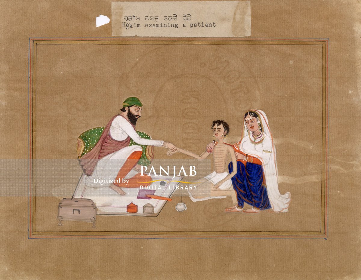 A miniature depicting a Hakim or Doctor examining a patient, c. mid-19th century. 

#miniatures #paintings #hakim #medicine #punjab #collection #digitization #panjabdigitallibrary