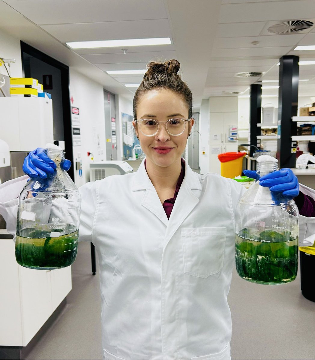 'Biosynthetically talented.' 
Among bacterial divisions, cyanobacteria are second only to the well-known and extensively studied actinobacteria in terms of BGC (biosynthetic gene clusters) abundance  - Blin et al., 2019.
#microbiology #cyanobacteria #naturalproducts