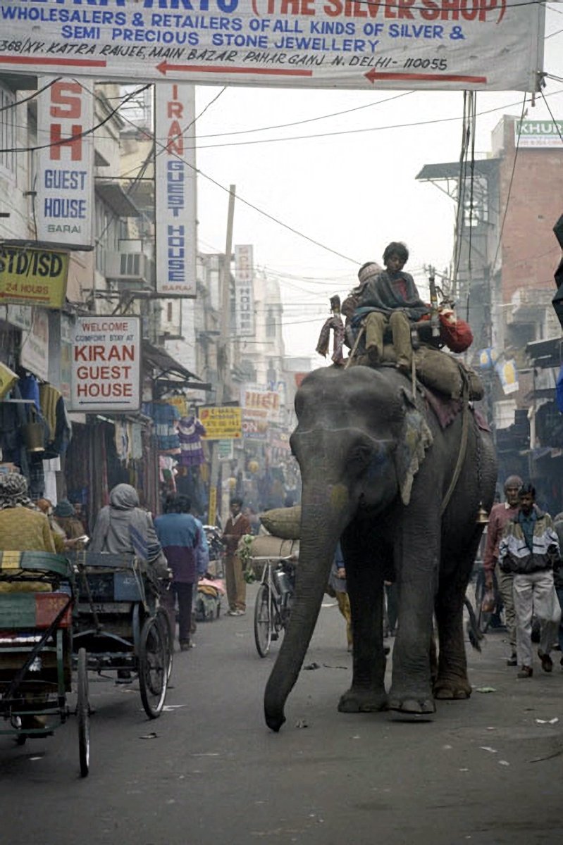 Уличный трафик.
Индия. 1997 г.