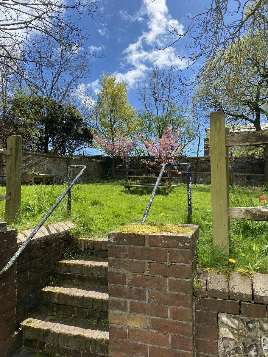 BrightonGeneral's tweet photo. The glorious cherry blossom at Brighton General in the walled garden. A very beautiful retreat for people at BGH, although perhaps less so at the moment.

#gloriousblossom #cherryblossom #Brighton #brightongeneral #walledgarden #beautifulretreat https://t.co/WDkFXA1YcV