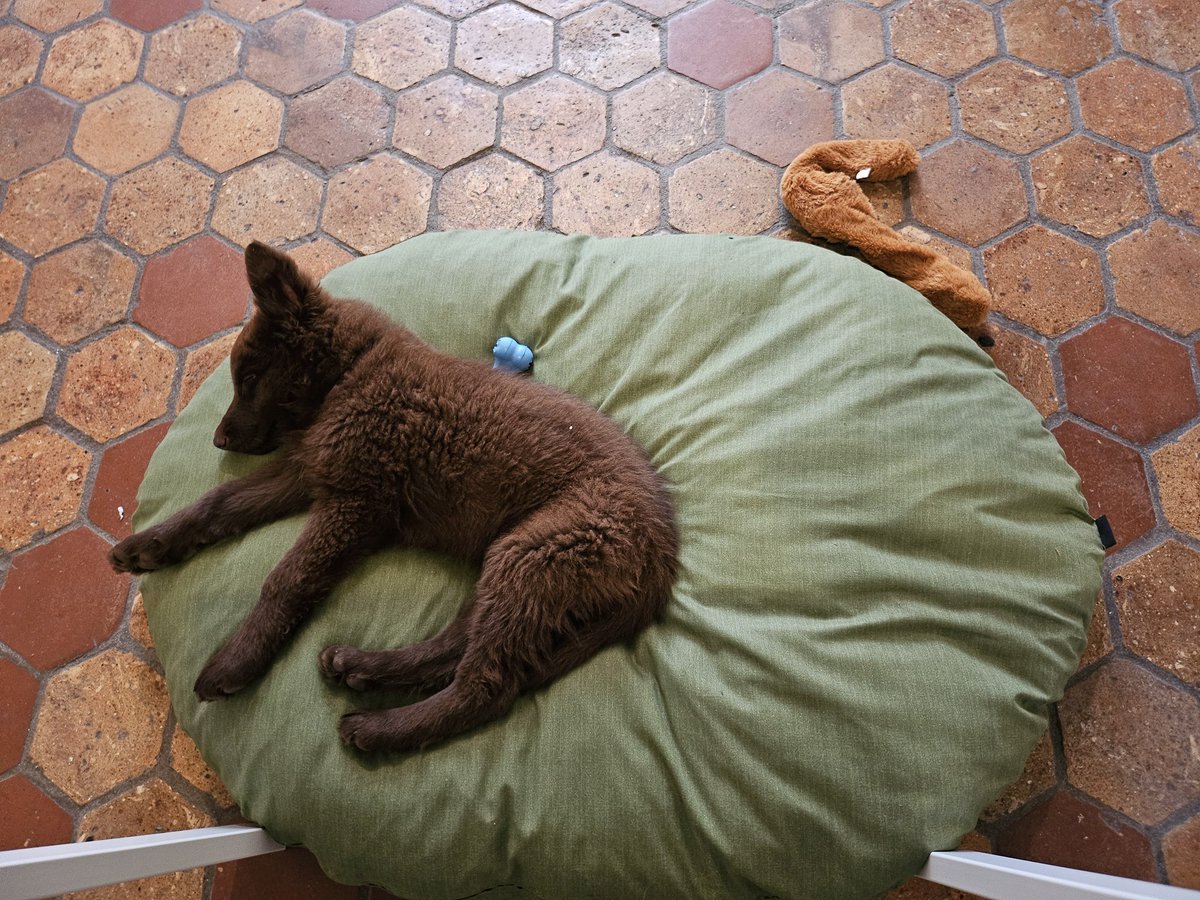 Frédéric Serval tweet media