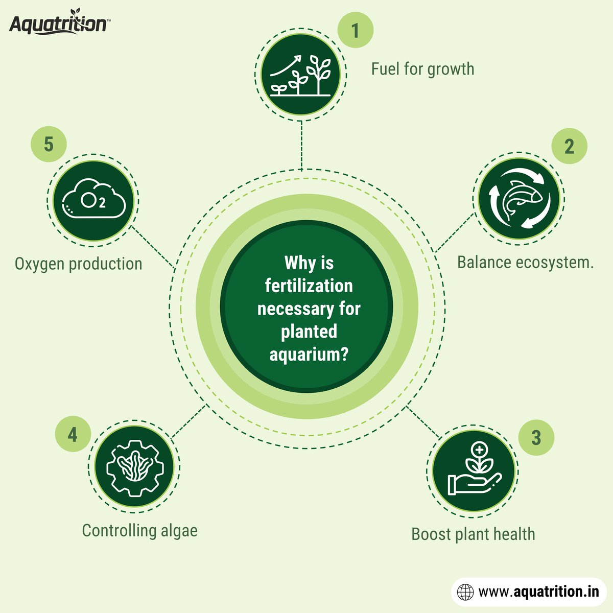 Dive into the secret to thriving underwater worlds: Why is fertilization necessary for planted aquarium?
Let's keep those fins flapping and plants blooming!
*
*
🌿Nourished by Aquatrition
*
#AquariumCare #aquatrition #aquatritiontips
#FishTankTips #AquariumCommunity