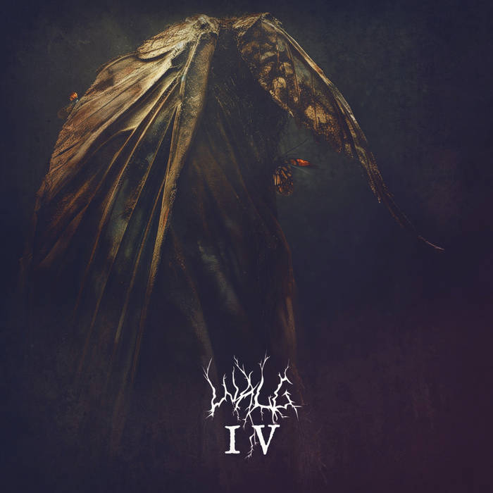 DETH DEKK DOMINIONS:🎧🆕🎧2⃣0⃣2⃣4⃣ WALG - IV 🇳🇱 💢 4th album from Groningen, Dutch Melodic Black Metal outfit 💢 BC➡️walg.bandcamp.com/album/iv 💢 #Walg #IV #MelodicBlackMetal #DDDApr24 #DethDekk #KMäN