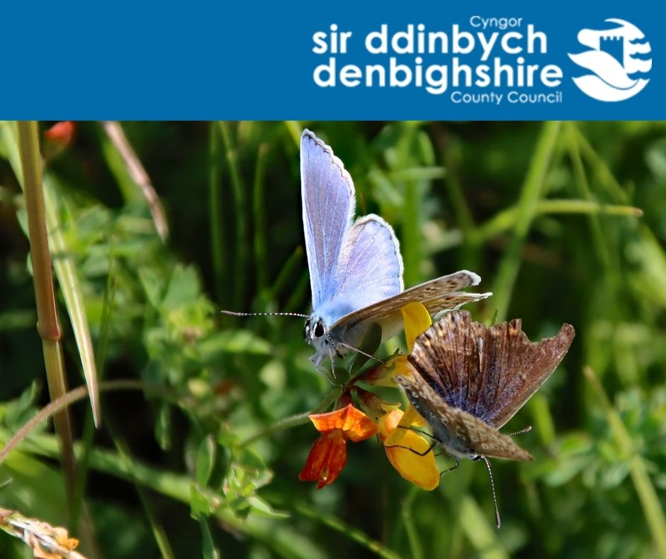 Are you keen to make a difference for local nature and the environment? We want to hear from you about what you think of our revised Climate Change strategy review take part here 👉 bit.ly/499DCdZ