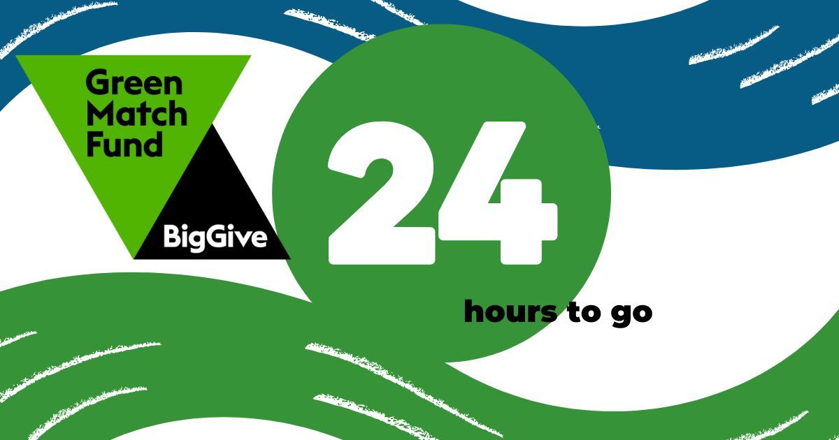 Just 24 hours to go... Please support our @BigGive #GreenMatchFund & double your donation by noon tomorrow Let's get creative for our rivers 💧 It's easy to donate here: buff.ly/49nbUuI #RiverHealth #WRT30Years #RiverArtivists