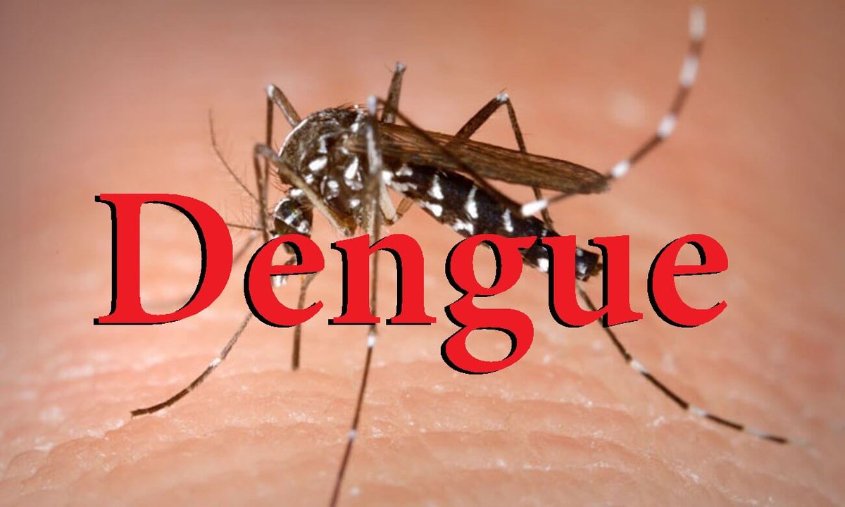 pulse.ly/p8p8da0s3o Recrudescence de cas de dengue importés en métropole et préparation estivale : DGS-Urgent n°2024_06