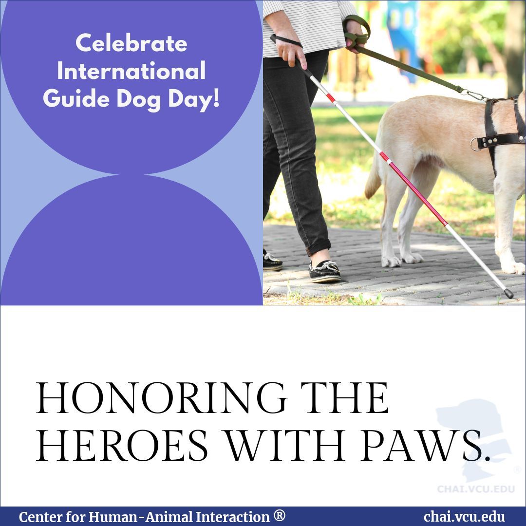 International Guide Dog Day is an opportunity to celebrate the work of guide dogs and raise awareness of the importance of guide dog services to help people who are blind or have low vision live life on their terms. 

#internationalguidedogday #guidedog #servicedog