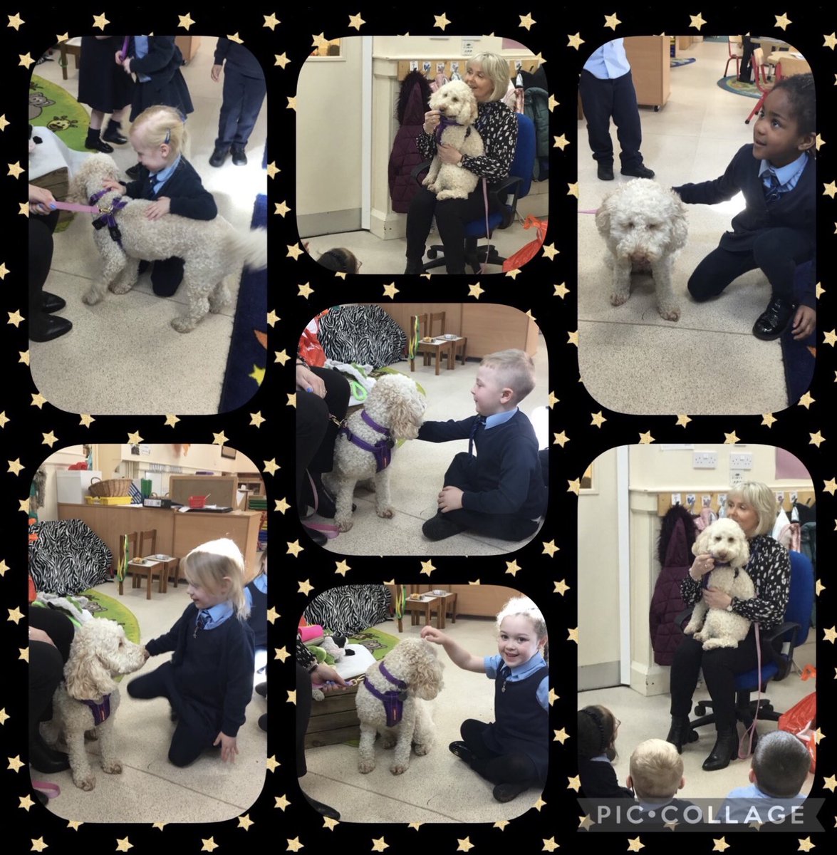 MpReception tweet media