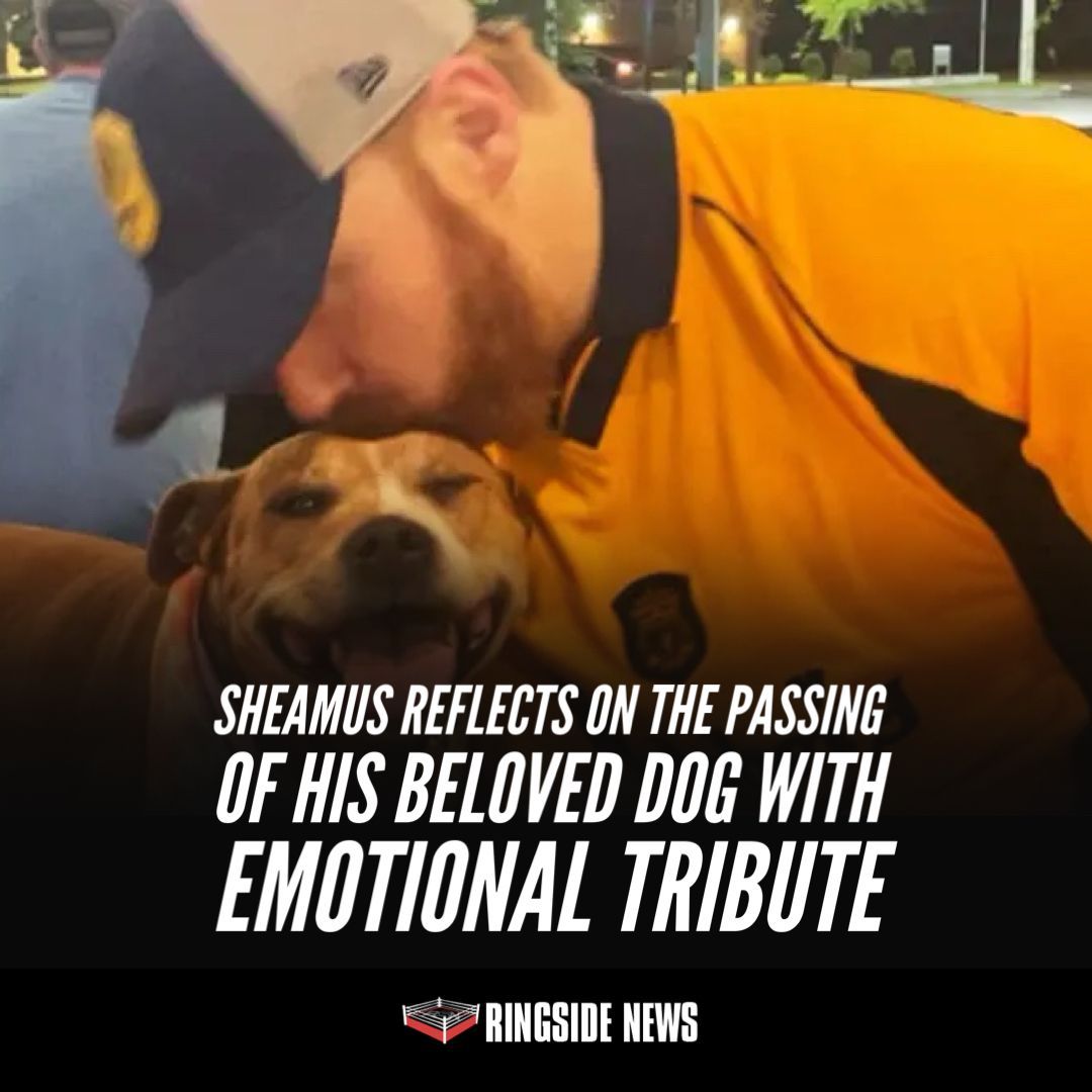 Sheamus Reflects on the Passing of His Beloved Dog with Emotional Tribute ringsidenews.com/2024/04/24/she…