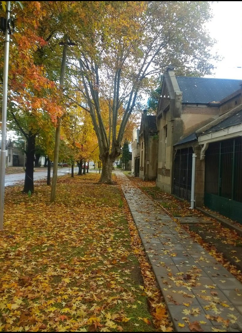 suburbanhornero's tweet photo. 📍zamora hills, southern suburbs of buenos aires 🇦🇷

gm to argentina enthusiasts! 🧉

the barrio inglés 🏴󠁧󠁢󠁥󠁮󠁧󠁿 had many english settlers that ran the railroads.

great aesthetics and absolutely off the beaten path, if you adventure into suburbs go check it out! https://t.co/uOm6DMItzb