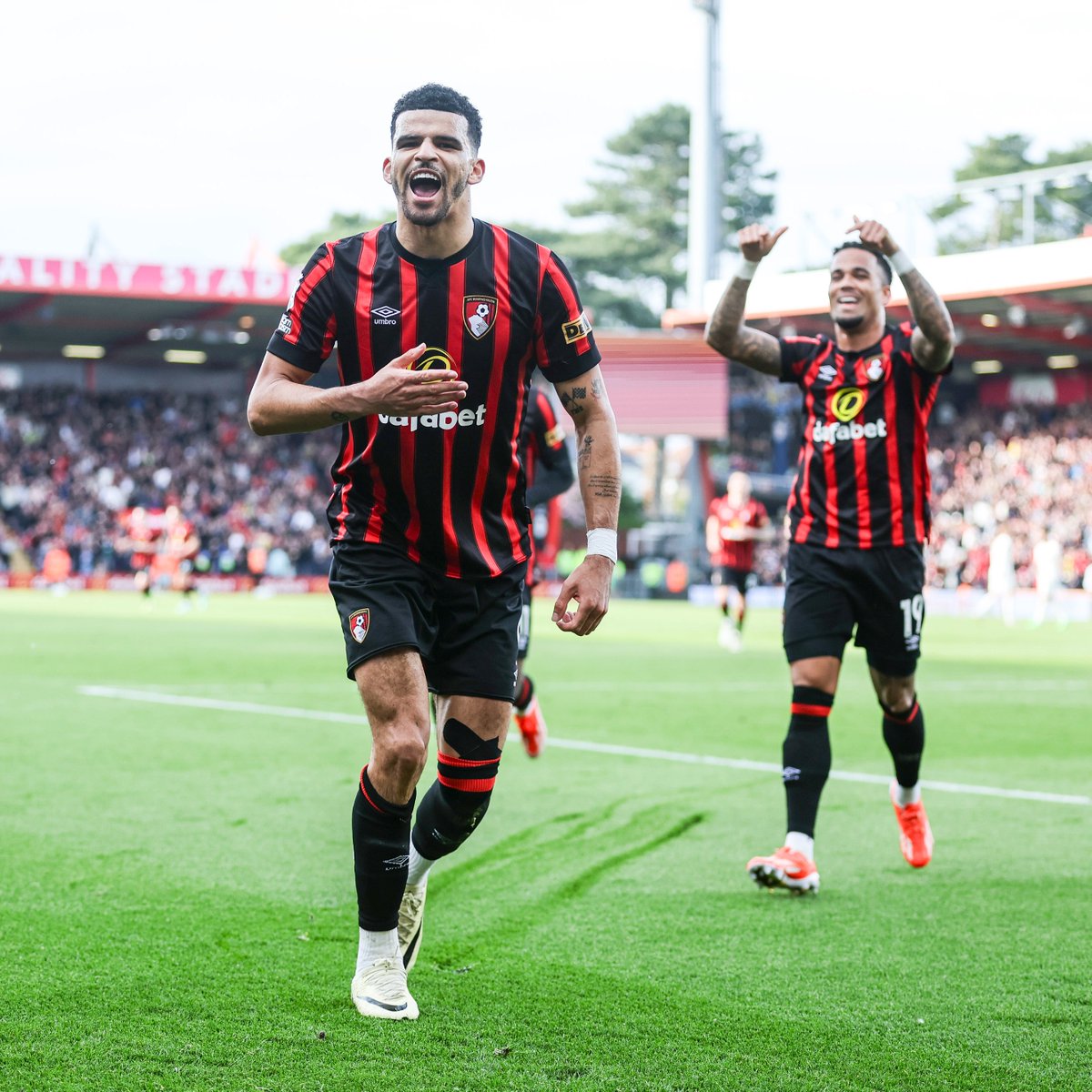 There are limited spaces available for Sunday's league game with Brighton 🙌 Email hospitality@afcb.co.uk to secure a unique experience on matchday 😍