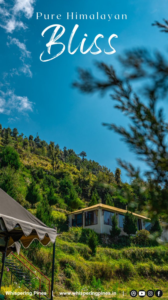 treksnrapids's tweet photo. The best time of the year to experience the best glamping retreat in North India is here again.

Welcome to 𝐖𝐡𝐢𝐬𝐩𝐞𝐫𝐢𝐧𝐠 𝐏𝐢𝐧𝐞𝐬.
#PureHimalayanBliss https://t.co/yGHGoXTKNd