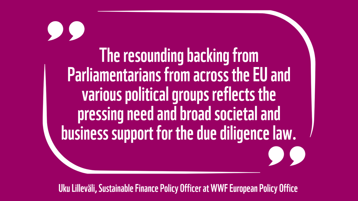 📢We need Corporate Sustainability Due Diligence &amp; we need it now!
The message is clear: <a href="/Europarl_EN/">European Parliament</a> has approved #CSDDD, taking a major step towards ending corporate harms on people &amp; environment.🌍
But let's not forget, there are still gaps to be fixed!
tinyurl.com/pbynu5p4