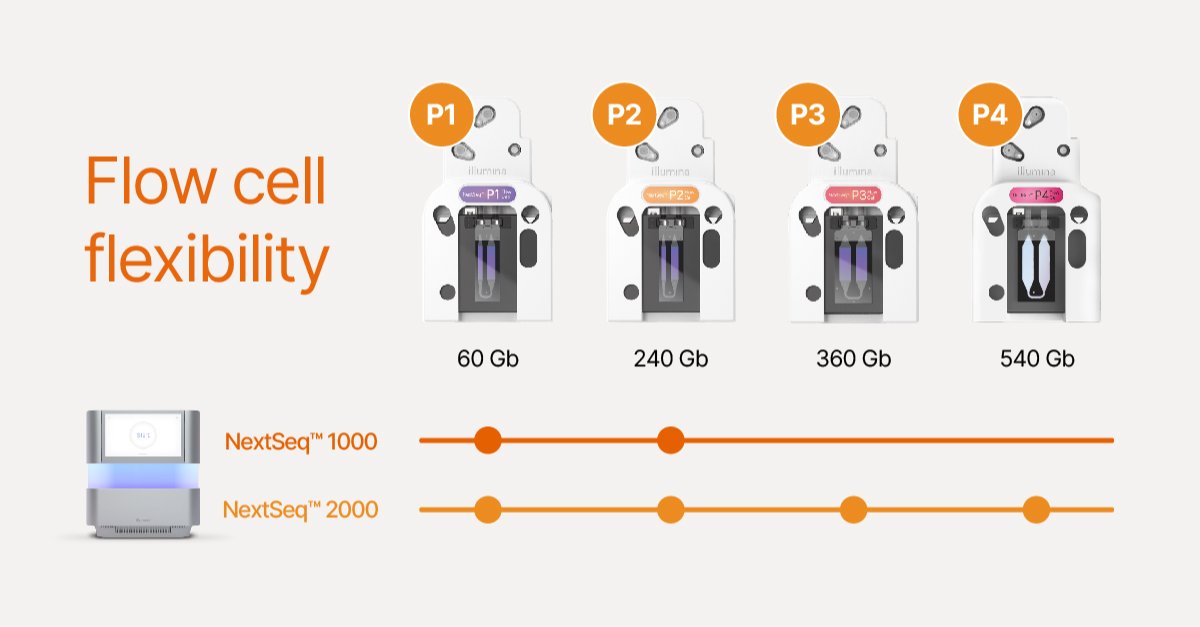 In need of additional flexibility and scalability on the NextSeq 2000? The P4 flow cell is here. Learn more: bit.ly/3Whxuhj