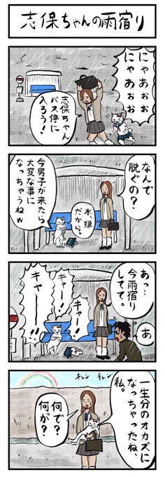 4コマ追加🐱☔(No.64)
「志保ちゃんの雨宿り」
#4コマ漫画 