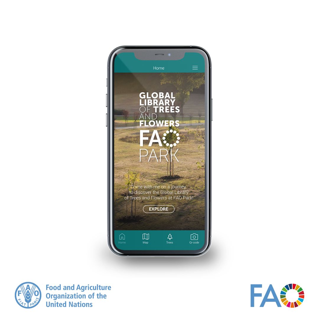 Whether you are in @Roma or abroad, let nature be your teacher. Learn about the vital role forests play with @FAO Park web app & discover simple actions you can take to help create a more sustainable future for us all. 👉 fao-park.org #GenerationRestoration