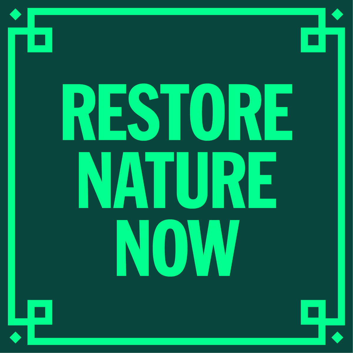 UK nature is struggling & it needs us to stand up for it! 🥀 🗓️ On 22 June we're uniting for nature in London, to send a clear message to all politicians to #RestoreNatureNow. Everyone's welcome to join — read more & sign up! 👇 restorenaturenow.com @SWTsteve @g_stokes18