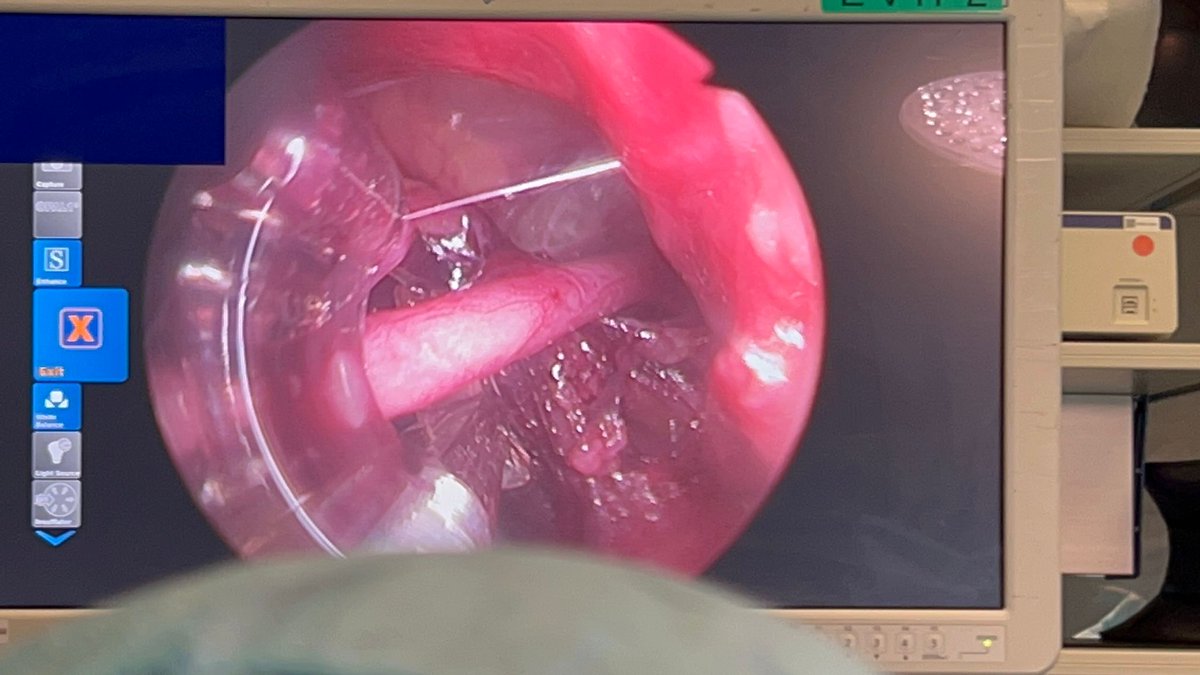 Dr Junjie Ng tweet media