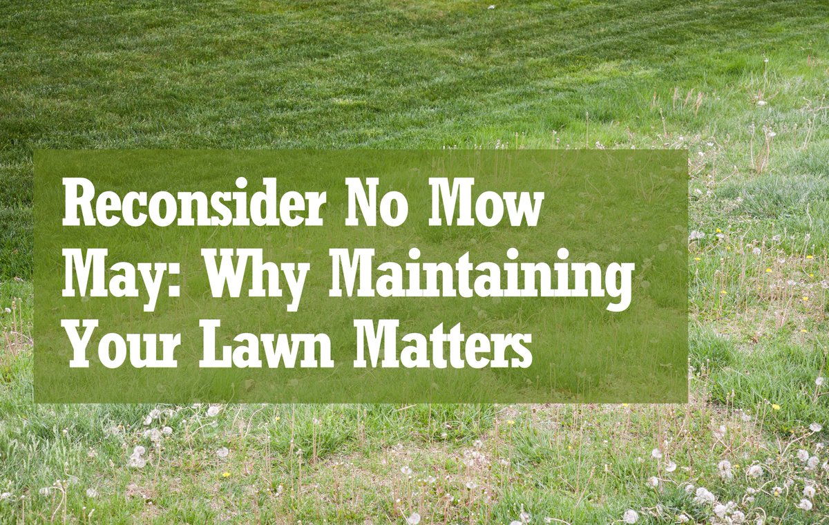 Joe's Lawn Care 🌱 tweet media
