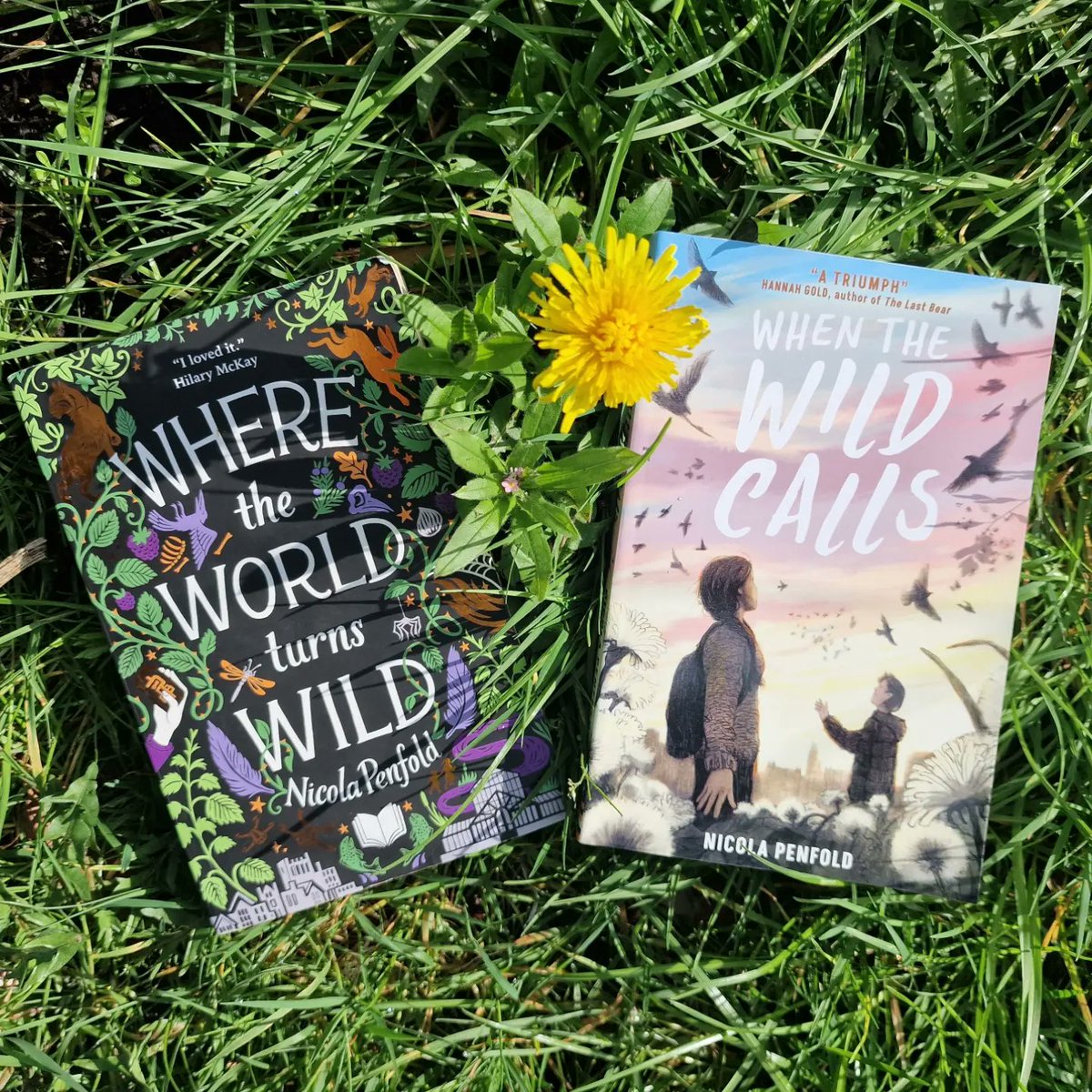 Thanks for having me on the blog to talk about writing a sequel @FCBGNews 😊 fcbg.org.uk/when-the-wild-…