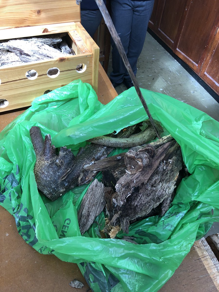 CTI_Clonmel's tweet photo. E.S.D. (Education for Sustainable Development) team at Raheen College making a bug hotel from old branches for our biodiversity Garden 👍🤝 🤩@TipperaryETB 
#take1programme #community. https://t.co/N68XCUAgSm