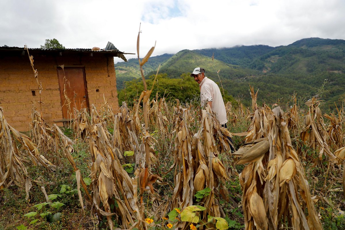 Colombia ingresa en la lista de países con inseguridad alimentaria aguda, según la ONU dlvr.it/T5xYGy #NDigital