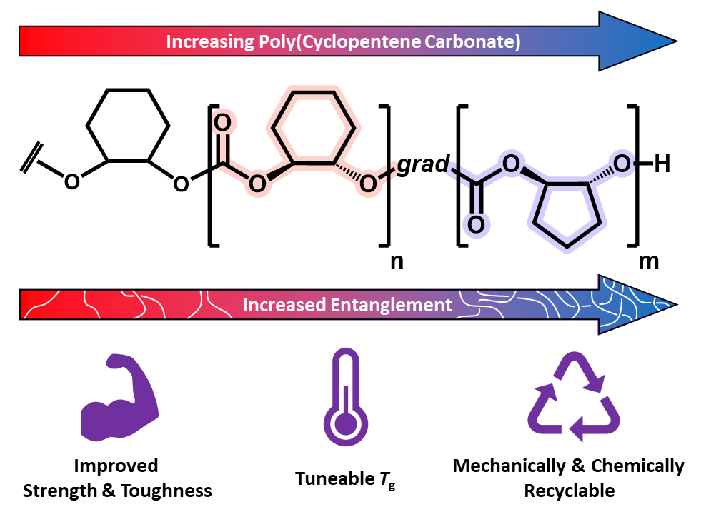 Our latest paper on 'Controlled Carbon Dioxide Terpolymerizations to Deliver Toughened Yet Recyclable Thermoplastics' is now out in #Macromolecules! Congratulations @kampoon1 and Maddie!🥳 doi.org/10.1021/acs.ma… @MacroJrnls_ACS @OxICFM @OxfordChemistry