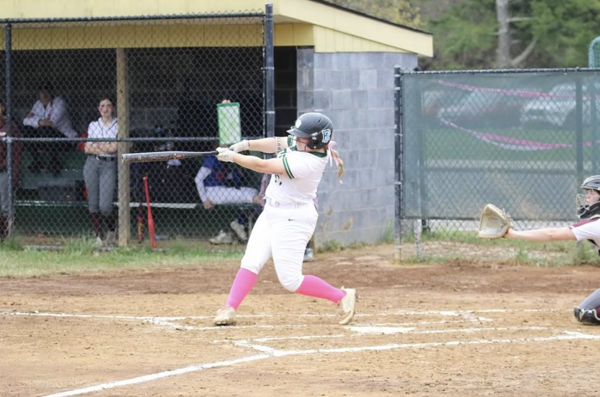 FDR Softball tweet media