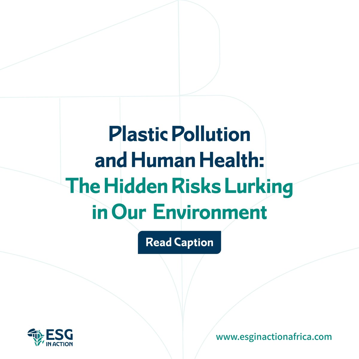 Beyond blighting our landscapes, plastic pollution poses serious health risks. Chemicals like BPA and phthalates can contaminate food and water sources, impacting human health.