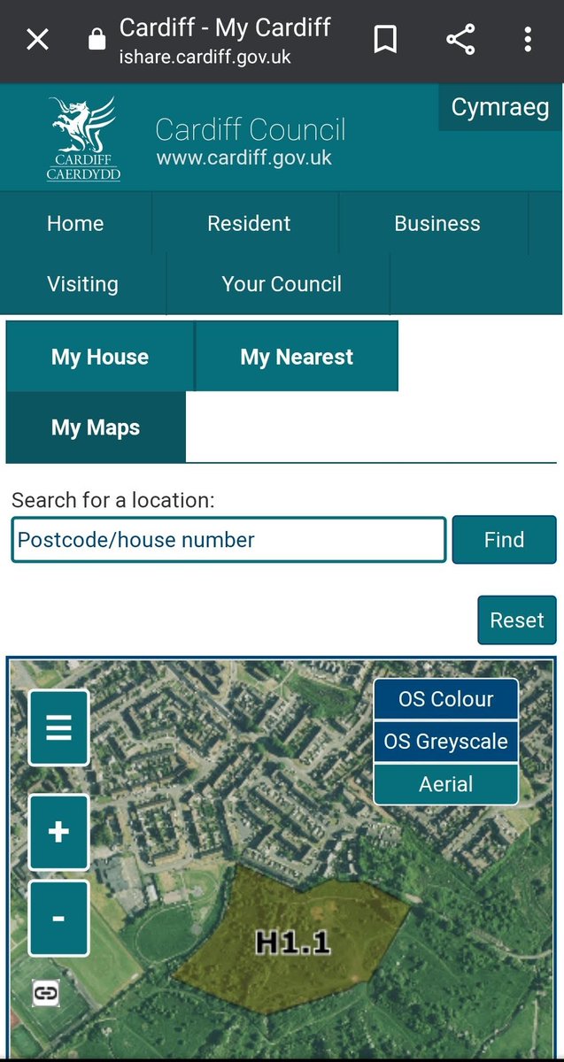 Kayleigh tweet media